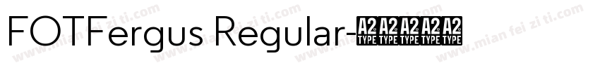 FOTFergus Regular字体转换